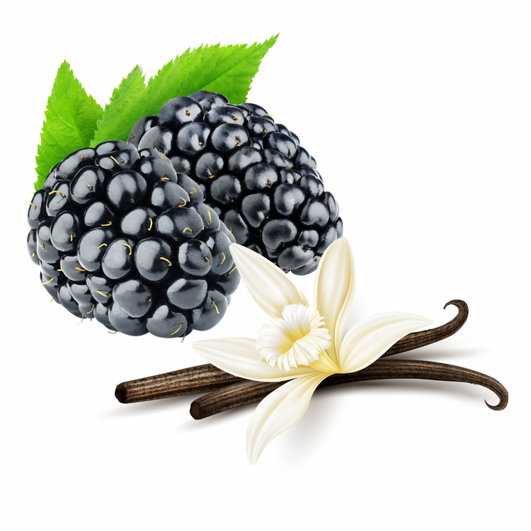 Black Raspberry Vanilla| 9 oz Candle